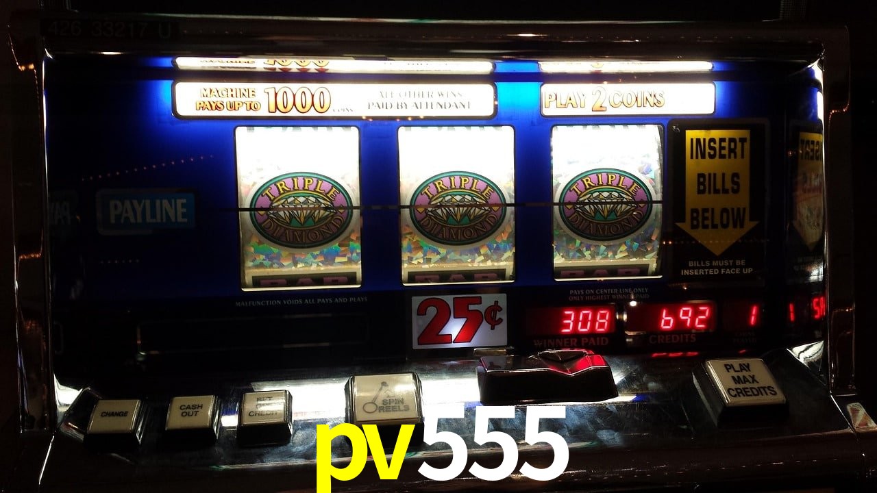 Basketball Betting pv555