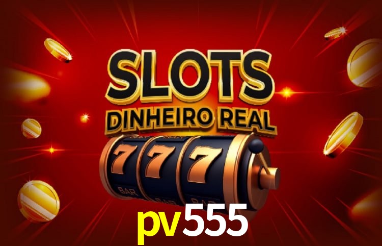Sistemas de Segurança pv555