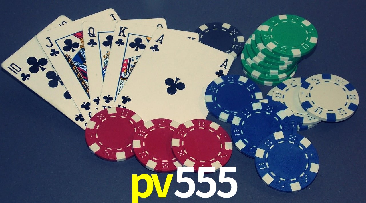 Game Statistics pv555